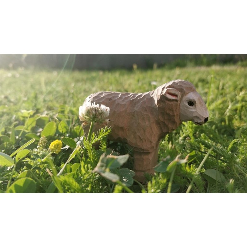 Schaap 40605 Schaap 40605