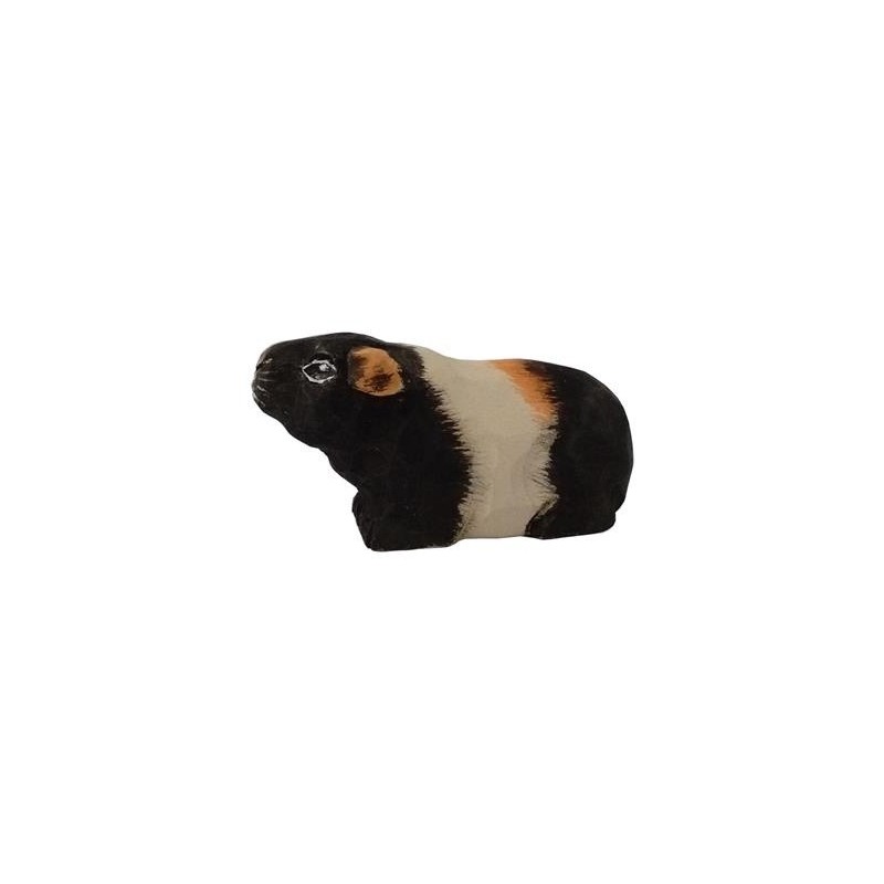 Cavia 40724 Cavia 40724