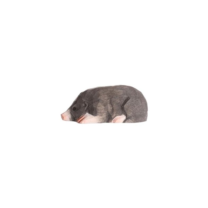 Mol 40703 Mol 40703