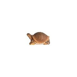 Schildpad 40704