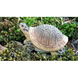 Schildpad 40704 Schildpad 40704