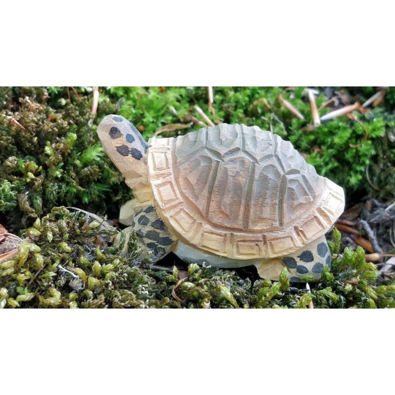 Schildpad 40704 Schildpad 40704