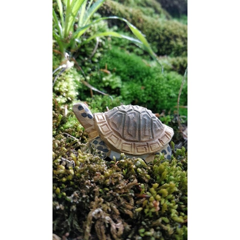 Schildpad 40704 Schildpad 40704