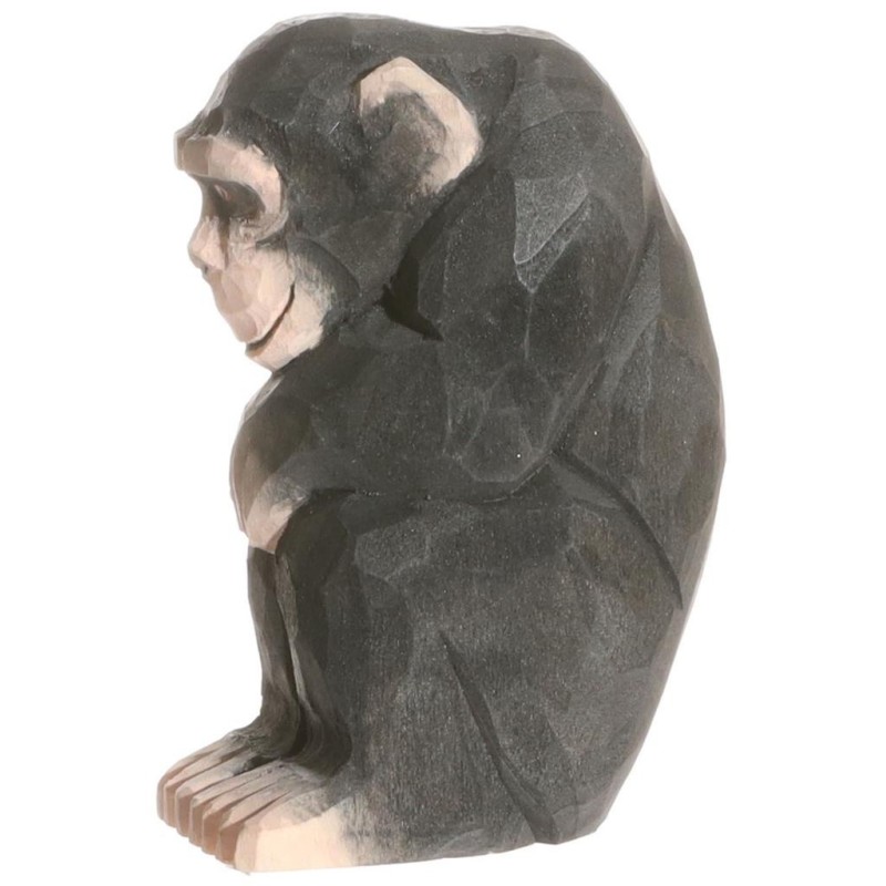 Chimpansee 40722 Chimpansee 40722