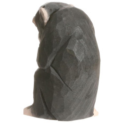 Chimpansee 40722 Chimpansee 40722