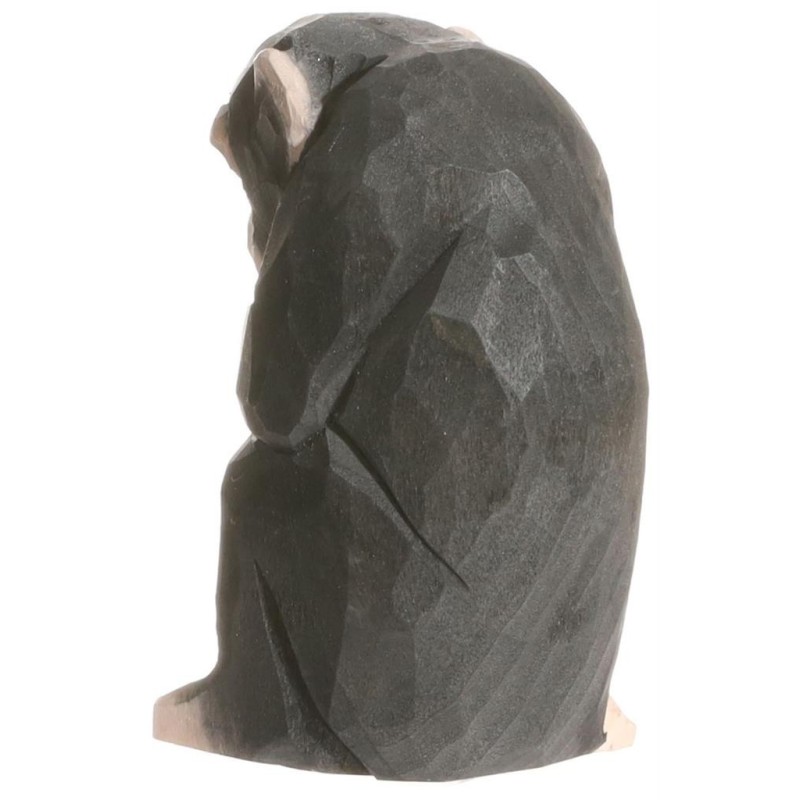 Chimpansee 40722 Chimpansee 40722