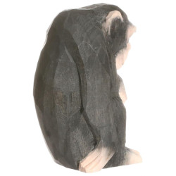 Chimpansee 40722 Chimpansee 40722