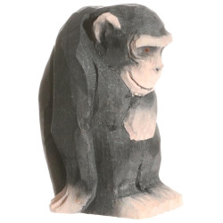 Chimpansee 40722 Chimpansee 40722