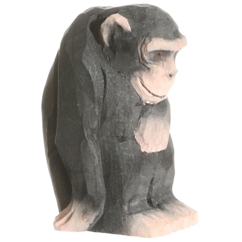 Chimpansee 40722 Chimpansee 40722