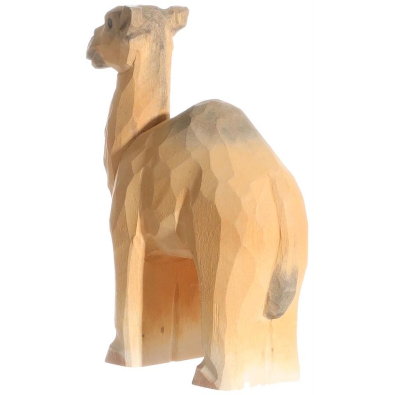 Dromedaris 40473 Dromedaris 40473