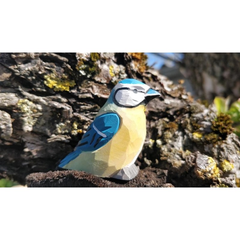 Pimpelmeesje 41015 Pimpelmeesje 41015