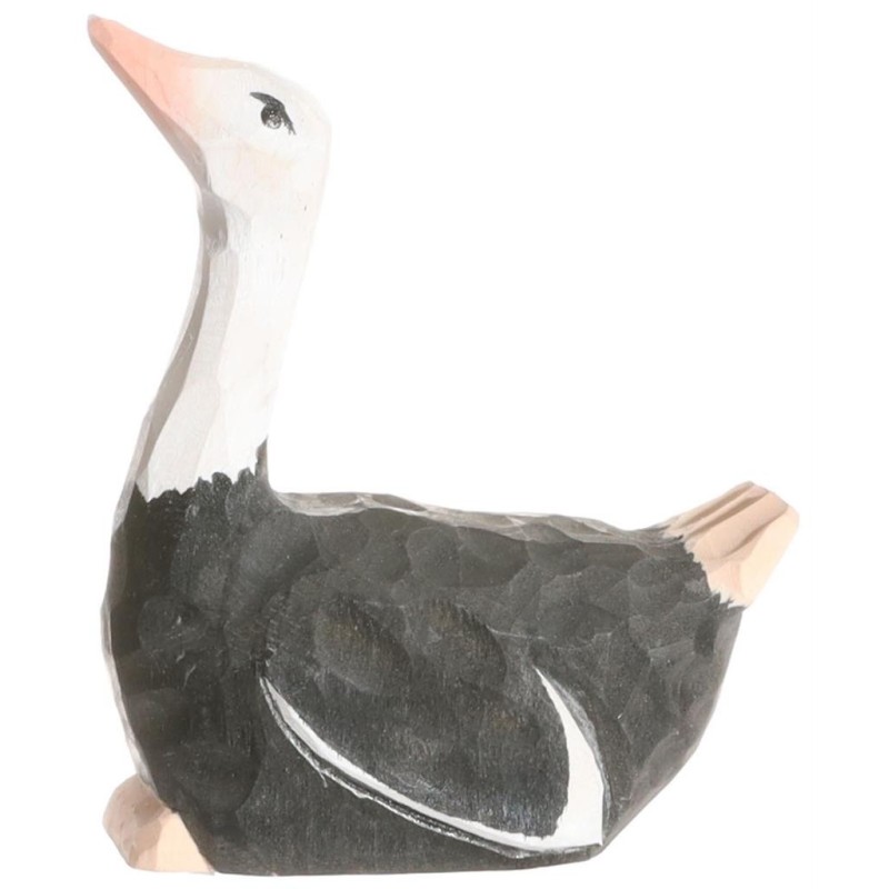 Struisvogel 41000 Struisvogel 41000