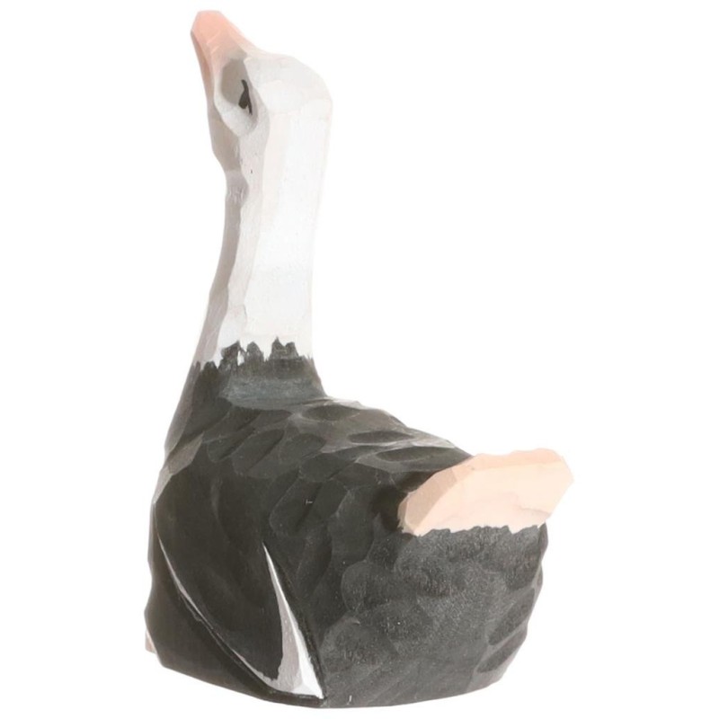Struisvogel 41000 Struisvogel 41000