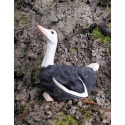 Struisvogel 41000 Struisvogel 41000