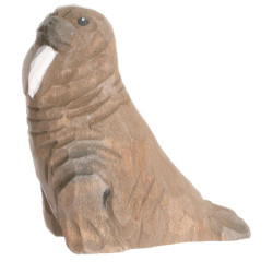 Walrus 40809