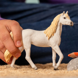 Arabische Merrie Arabische Merrie