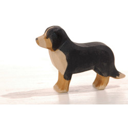 Hond Berner Sennen 10521