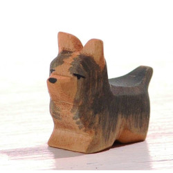 Hond Yorkshire Terrier 10621