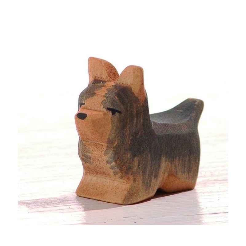 Hond Yorkshire Terrier 10621