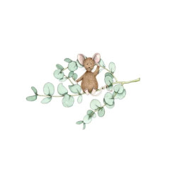 Ansichtkaart Eucalyptus muis