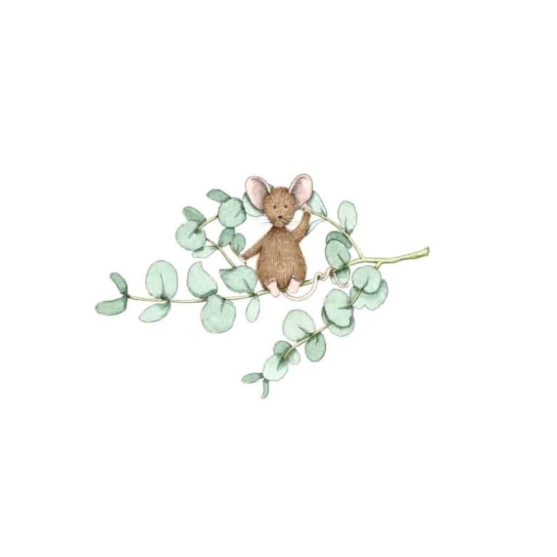 Ansichtkaart Eucalyptus muis