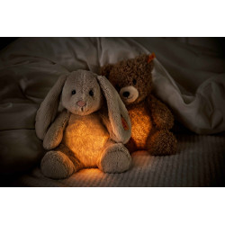 Knuffel met Licht Caspar Teddybeer 28cm
