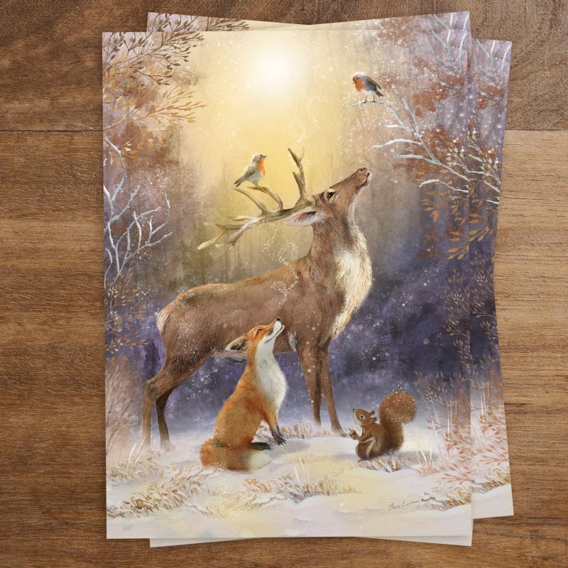 Postkaart Winter Wonders Postkaart Winter Wonders