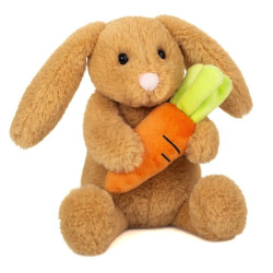 Knuffel Konijn Lilly met Wortel 23 cm
