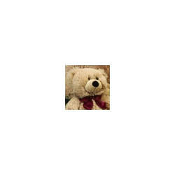 Knuffel Beer klein 39cm Knuffel Beer klein 39cm