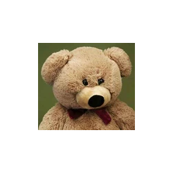 Knuffel Beer medium 55cm
