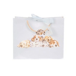 Geschenktasje Little Paws