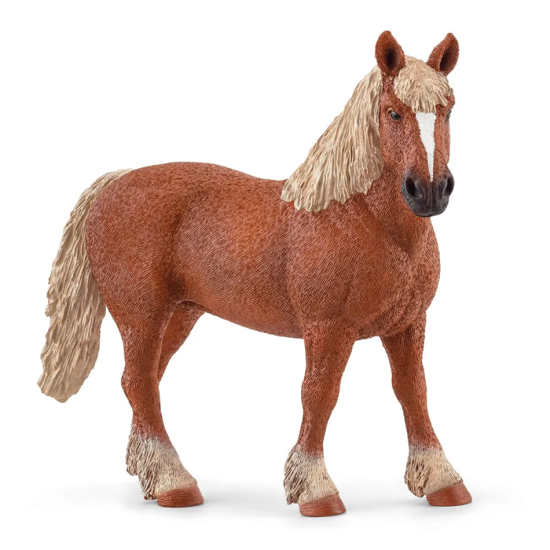 Paard Belgische Fokmerrie 13941 Paard Belgische Fokmerrie 13941