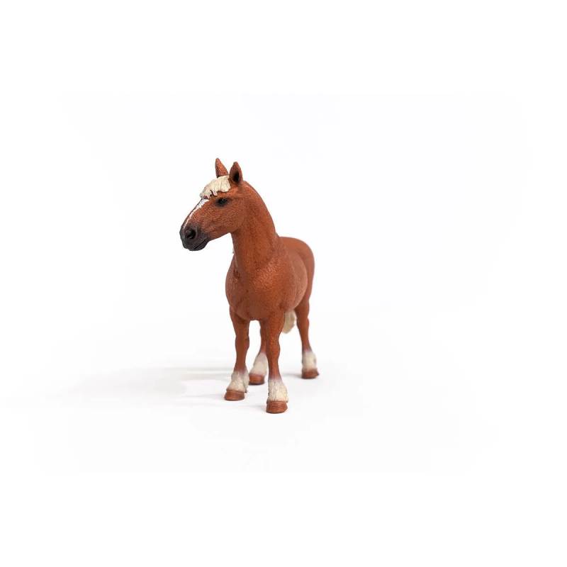 Paard Belgische Fokmerrie 13941 Paard Belgische Fokmerrie 13941