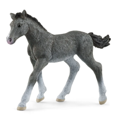 Paard Trakehner Veulen 13944