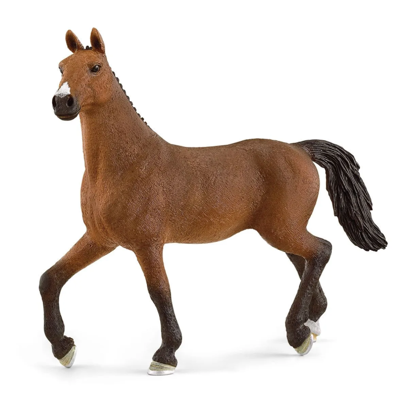 Paard Oldenburger Merrie 13945 Paard Oldenburger Merrie 13945