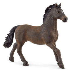 Paard Oldenburger Hengst 13946