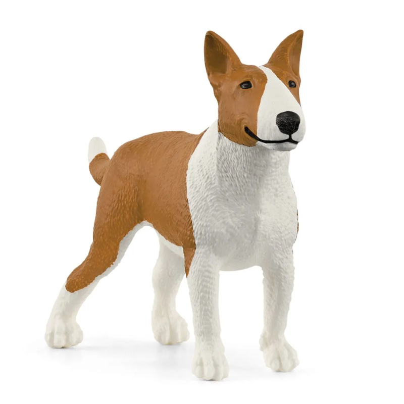 Hond Bulterriër 13966