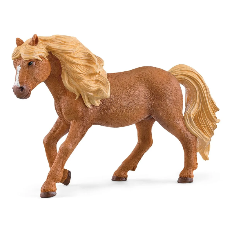 Paard IJslander Ponyhengst 13943 Paard IJslander Ponyhengst 13943