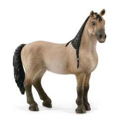 Paard Criollo Definitivo Merrie