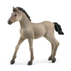 Paard Criollo Definitivo Veulen 13949