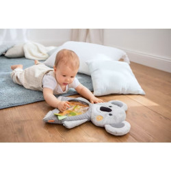 Waterspeelmat Koala