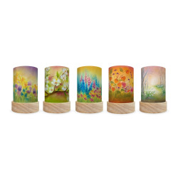 Shade Baukje Exler set Seasons