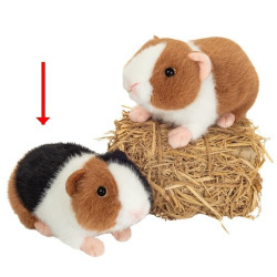 Knuffel Cavia 3-kleurig 19 cm Knuffel Cavia 3-kleurig 19 cm