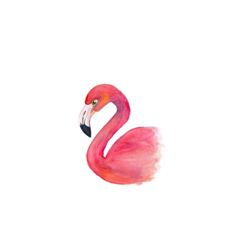 Postkaart Flamingo Postkaart Flamingo