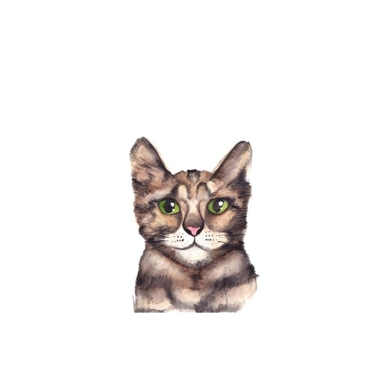 Postkaart Kat Postkaart Kat