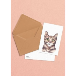 Postkaart Kat Postkaart Kat