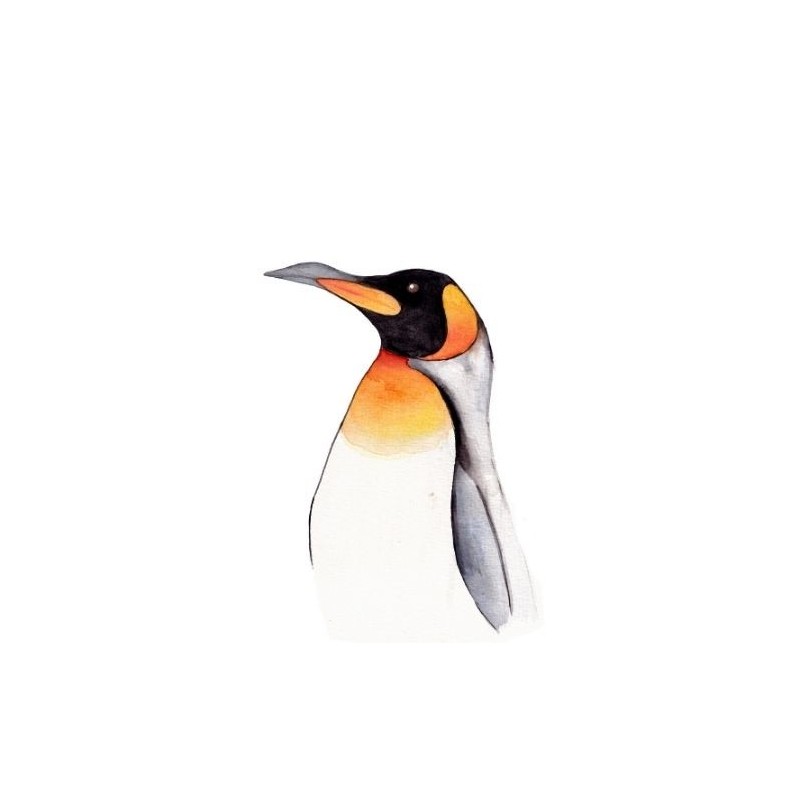 Postkaart Pinguin Postkaart Pinguin