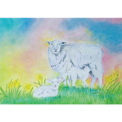 Ansichtkaart Schaap met Lammetjes