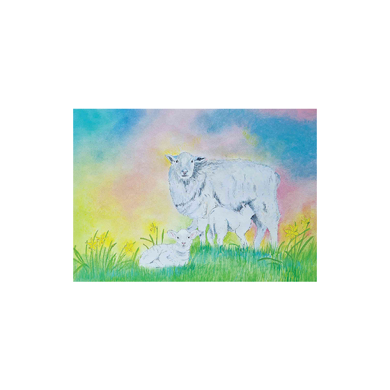 Ansichtkaart Schaap met Lammetjes