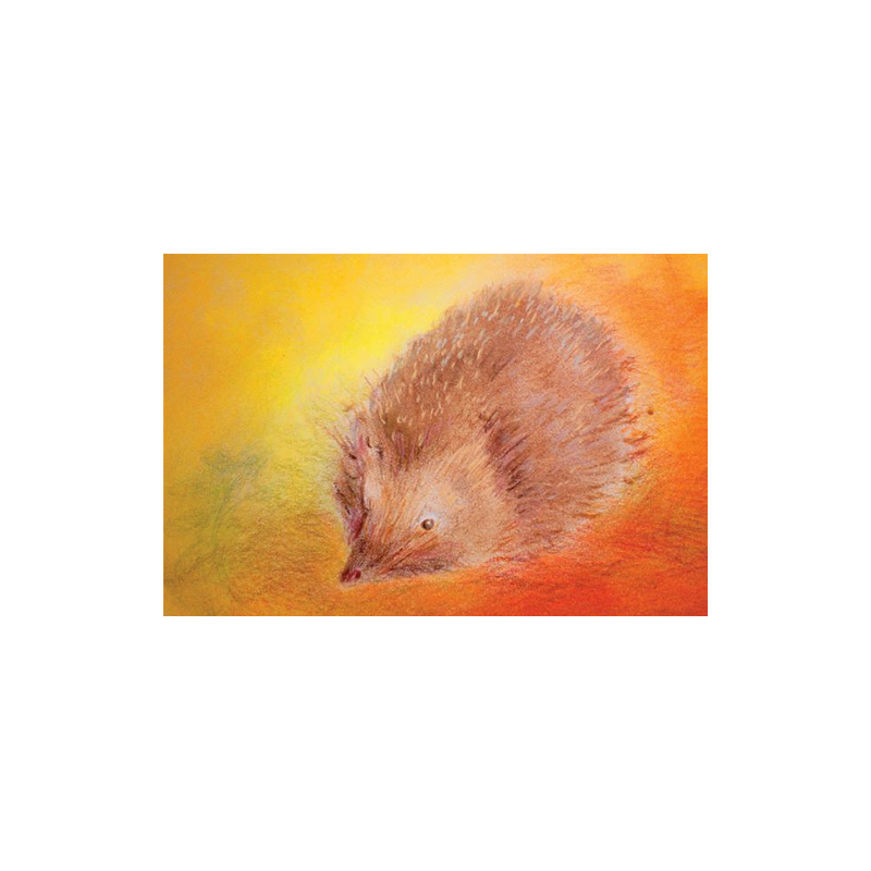 Minikaartje Egel